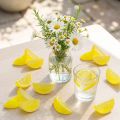 Tranches de citron artificielles pour décoration – Lot de 24 | Floristik24.fr