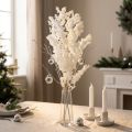 Fleurs séchées de Sparagus blanc conservé 55-70 cm 100 g | Floristik24.fr