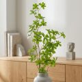 Branche décorative