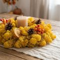 Mousse de lichen d’Islande jaune 400g | Floristik24.fr
