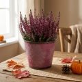 Pot décoratif en métal rouge bordeaux avec motif de feuilles, Ø16,5 cm H14,5 cm | Floristik24.fr