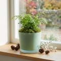 Cache-pot en verre vert mat Ø14,5cm H12,5cm | Floristik24.fr