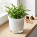 Cache-pot en verre blanc Ø11,5cm H11cm | Floristik24.fr