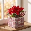 Petit bac en bois style Shabby Chic rouge et blanc 12 cm | Floristik24.fr