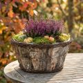 Pot de fleur en bois avec écorce de bouleau et vignes tressées Ø24cm | Floristik24.fr