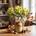 Fleurs artificielles Sedum vertes 41 cm - Lot de 3 | Floristik24.fr