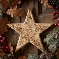 Étoile décorative en bois avec écorce de bouleau, Ø 20 cm | Floristik24.fr