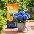 Terreau Spécial Hortensias Bleus Frux 18L | Floristik24.fr