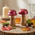 Duo de Champignons Décoratifs en Bois avec Chapeau Rouge Brillant Ø6cm H10cm | Floristik24.fr