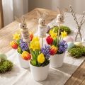 Lot de 8 Piques Décoratives