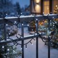 Guirlande lumineuse LED 40 lumières froides 3 m usage intérieur/extérieur | Floristik24.fr