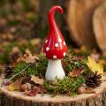 Champignon décoratif en céramique rouge et blanc 21 cm | Floristik24.fr