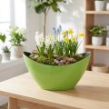 Coupe Décorative Ovale Verte en Plastique 20 x 9 x 12 cm | Floristik24.fr