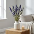 Delphinium Séché Bleu 64 cm 25 g | Floristik24.fr