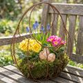 Corbeille en métal brun rouillé - Décoration de printemps et Pâques H34cm L30cm | Floristik24.fr