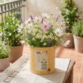 Poteau décoratif en métal effet vintage 15,5 cm Ø x 15 cm H - Couleur Abricot | Floristik24.fr