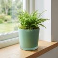 Cache-pot en verre vert mat Ø11,5cm H11cm | Floristik24.fr