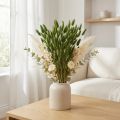 Herbe séchée Lagurus vert mousse pour décoration 50-60 cm - 50 g | Floristik24.fr