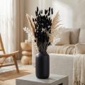 Herbe de Lagurus noir séché, 60 cm, 50 g | Floristik24.fr