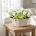 Corbeille blanche vintage avec anses Ø35cm | Floristik24.fr