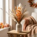 Lagurus séché couleur abricot 55-60 cm - Bouquet 50 g | Floristik24.fr
