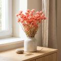 Fleurs séchées naturelle Roses Immortelles saumon H42cm | Floristik24.fr