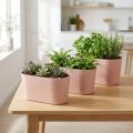 Coupe ovale en plastique rosé brun 20×10×11cm – Lot de 3 | Floristik24.fr