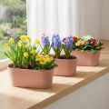 Coupe ovale en plastique rosé avec effet marbré – 27x11x10 cm (Lot de 3) | Floristik24.fr