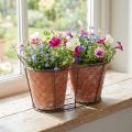 Ensemble de Pots en Céramique dans un Panier en Fil Métallique, Style Rustique, Terracotta | Floristik24.fr