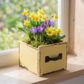 Petite boîte en bois jaune pastel pour plantes et décorations, 12,5 cm | Floristik24.fr