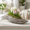 Pont végétal Rattan blanc et naturel 40x14x6cm avec doublure en plastique | Floristik24.fr