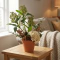 Fleurs artificielles Skimmia japonica verte 45 cm - Lot de 2 | Floristik24.fr