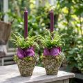 Pots cache-plantes effet bois et mousse Ø12,5cm H12cm – Lot de 2 | Floristik24.fr