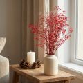 Gypsophile séchée rouge 50 cm 55 g | Floristik24.fr
