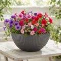 Coupe à Plantes en Plastique Anthracite Ø35 cm H16,5 cm | Floristik24.fr