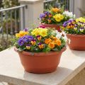 Pots ronds en plastique terracotta 27 cm - Lot de 5 | Floristik24.fr