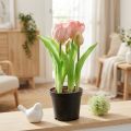 Tulipes artificielles roses et jaunes en pot, 22,5 cm | Floristik24.fr