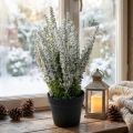 Bruyère artificielle blanche en pot 26 cm - Calluna Vulgaris | Floristik24.fr