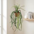 Plante artificielle Rhipsalis suspendue avec pot et corde, 87 cm | Floristik24.fr