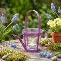 Arrosoir décoratif en métal rose avec verre, Ø 14 cm, H 13 cm | Floristik24.fr
