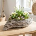 Jardinière Bac à plantes Rotin et vigne Blanchie 45×16cm | Floristik24.fr
