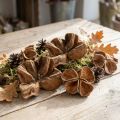 Lot de 50 fruits séchés de Sterculia "Landlotus" naturels | Floristik24.fr