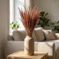 Herbe séchée Agrostis rouge-brun 65 cm 80 g | Floristik24.fr