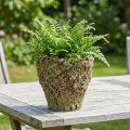 Cache-pot rustique effet mousse Ø17cm H16,5cm | Floristik24.fr