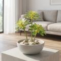 Lot de 4 succulentes artificielles avec tige flexible – Vert, 30 cm | Floristik24.fr