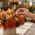 Cônes en bois naturel avec tiges longues, 25 pièces, 50-60 cm | Floristik24.fr
