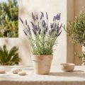 Lavande artificielle en bouquet - 51 cm - Violet et vert | Floristik24.fr