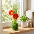 Mélange de Coquelicot Rouge et Herbes en Boule 23 cm | Floristik24.fr