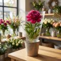 Lot de 50 cônes d'emballage transparents pour bouquets - 25 cm | Floristik24.fr