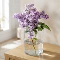 Vase en verre cylindrique transparent Ø12cm H20cm | Floristik24.fr